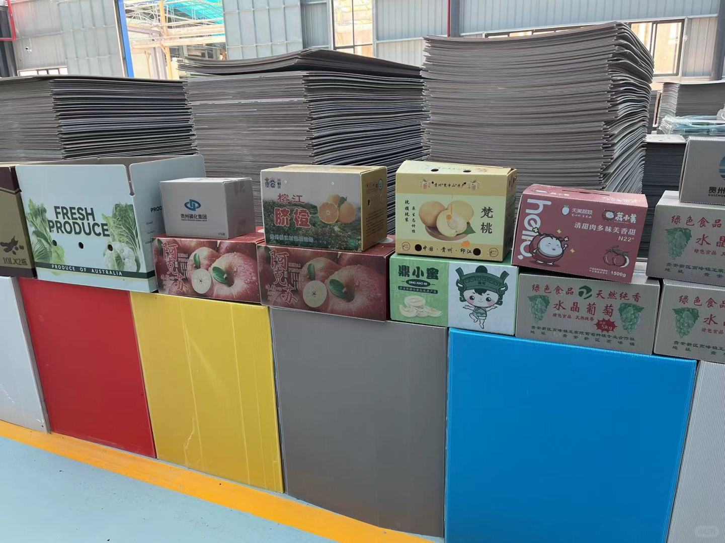 微信图片 微信图片 _20241212150759
